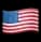USA Flag