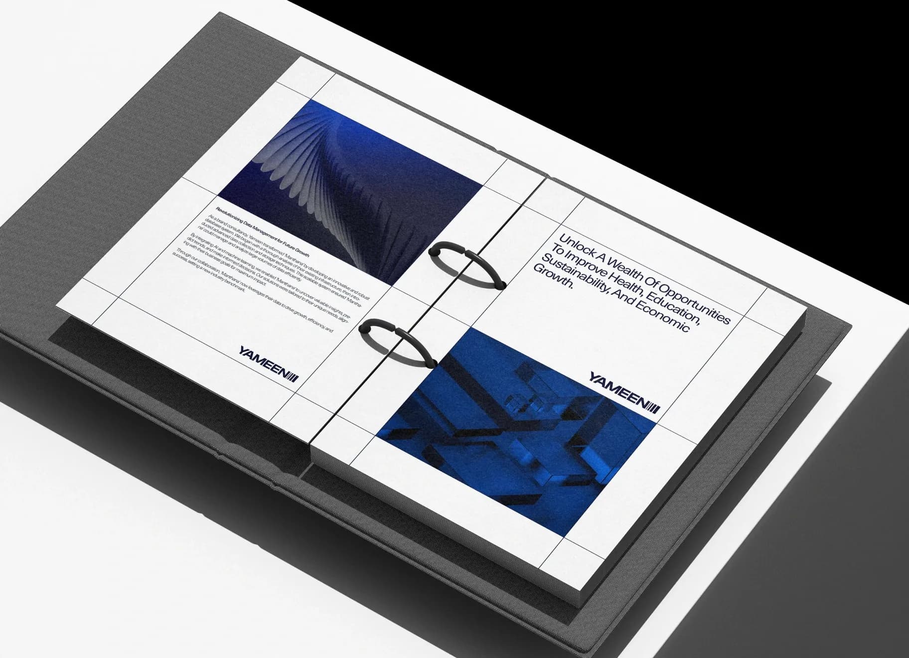 Brand Identity for Data Consultancy Company