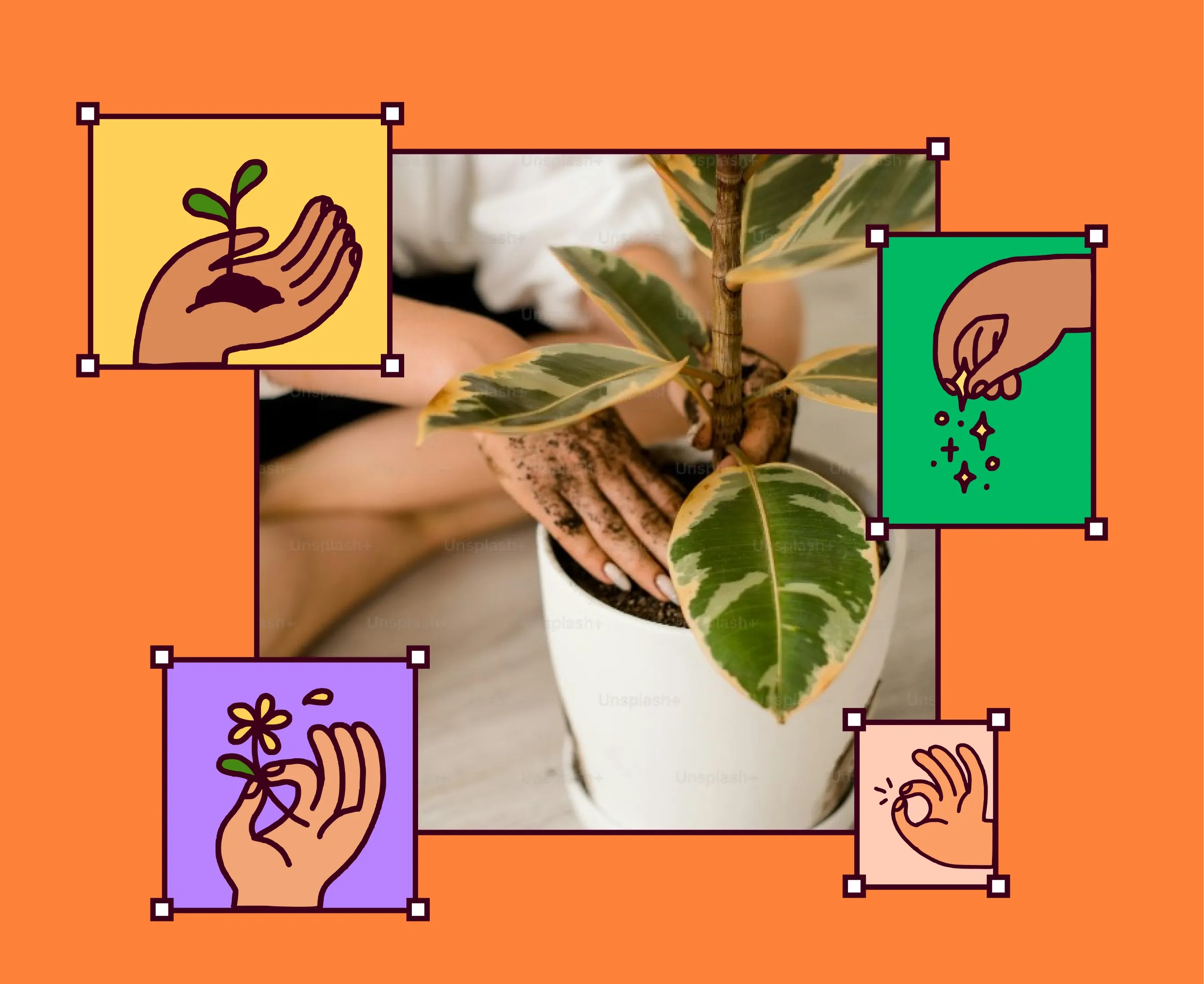 An Illustration Is Showing Transparent Reporting and Measurable Results