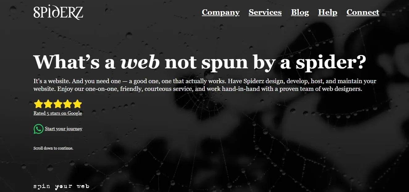 7.webp
