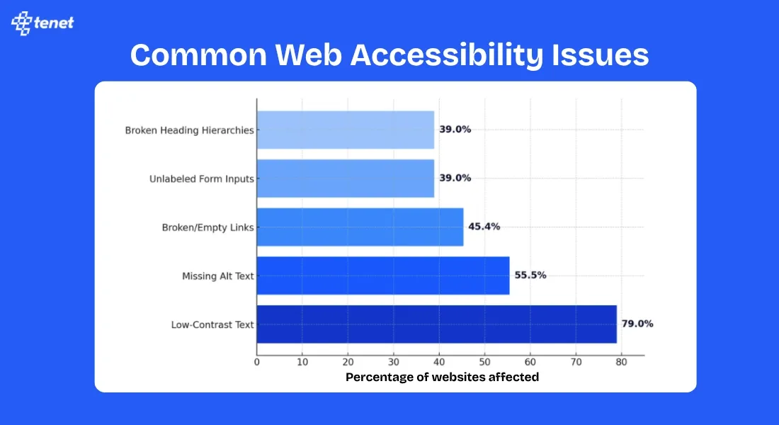 Common Web Accessibility Issues.webp